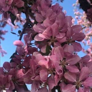 Meet your Posher, Wendy